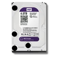 HK vison WD purple 4TB