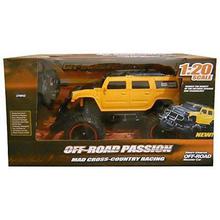 Webby Off-Road Passion 1:20 Monster Racing Car, Black