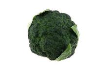 Green Artificial Broccoli