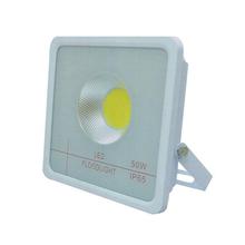 50 Watt Flood Light