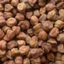 Brown Chana (चना), 1kg