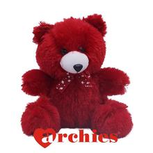 Soft Red Teddy Bear