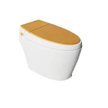 Hindware One Piece Closet Automate S Gold