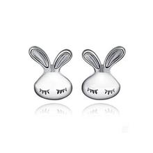 Silver Toned Rabbit Eyes Earrings For Women