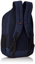 Fastrack 23.65 Ltrs Blue School Backpack (A0709NBL01)