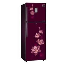 Samsung 275 ltr Double Door Refrigerator (RT30M3353R7)