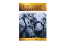 Horses Like Lightning: A Story of Passage Through the Himalayas