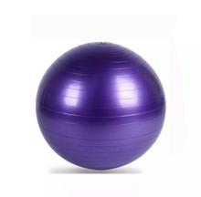 Yoga Ball 55Cm Exercise Ball With Pump