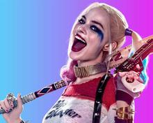 Harley Quin Wallpaper For Laptop Screen Background