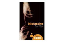 Nietzsche Beginners Guides - Robert Wicks