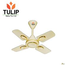 Tulip Ceiling Fan TOFFAN-24