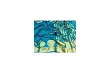 Design Banarasi Cotton Silk Saree - Blue Golden