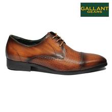 Gallant Gears Brown Leather Lace Up Formal Shoes For Men - (MJDP31-12)