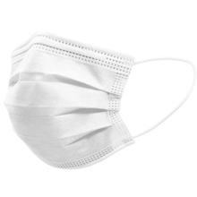 CCPL 3 Ply Earloop Face Mask | Disposable Mask For Adult 50pcs