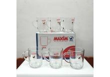 Unbreakable Tempered MAXIM GLASSWARE  MC-254T  6 Pcs Glass Cup / Mug Set