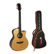 Dreammaker 1 Model Pro Acoustic Guitar With Guitar Bag