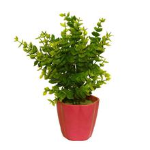 Plastic Plant Decor With Vase Showpiece