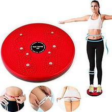 Twisting 4 in 1 Disc Weight Loss Fitness Equipment Twister