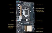 ASUS- Motherboard H81M-V PLUS