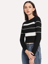 Rib Knit Trim Striped Sweater