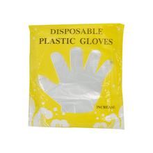 Disposable Gloves (100 Pcs)-1 Pkt