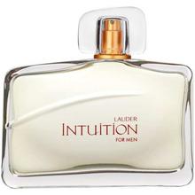 Estee Lauder Intution EDT For Men- 100 ml (Per32848)