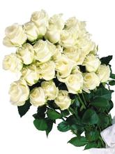 White rose Love Bunch - 26 Roses