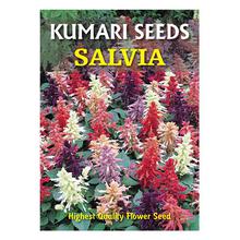 Kumari Salvia Seed