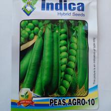 Vegetable Seeds- Peas Seeds Agro Vegetable Seeds 10 Gram