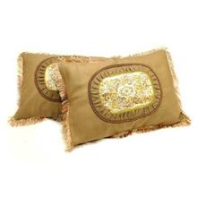 2 X Pillow Cover