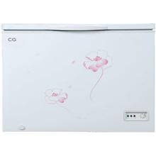 Chest Freezer 290 Ltrs