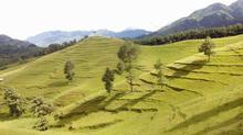 Chitlang Tour Package - [ 1 Night, 2 Days ]