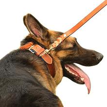 PetsUp Dog Collar Neck Belt for Small To Large Dogs (Medium,