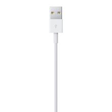 Apple Lightning to USB-C Cable (1 m)