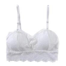 SALE- Women Bra Floral Lace Bralette Underwear Sexy Lingerie Seamless