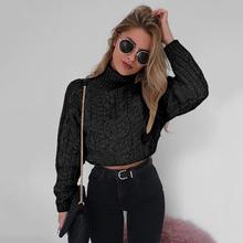 Women Casual Long Sleeve Turtleneck Crop Sweaters