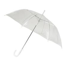 White Transparent Umbrella