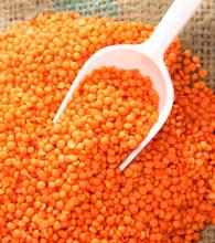 Red Lentil - (मसूर दाल) - 1kg