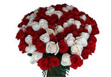 Bunch of White and Red Roses