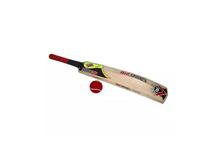 Cricket Bat & Ball Set