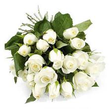 One Dozen White Roses Bunch