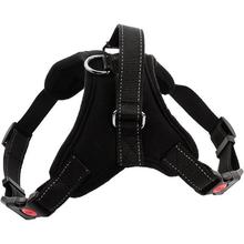 Adjustable Dog Harness Vest Heavy Duty Pet Lead Leash Set for Medium Dogs