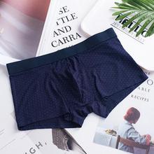 Men's boxer briefs _ Modal boxer briefs men's cotton