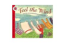 Lets Read And Find Out Science Feel The Wind Stage 2