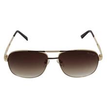 Tom Hardy Gold and Black Frame With Brown Glass Unisex Wayfarer Sunglasses