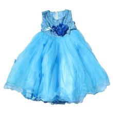 Sky Blue Floral Sleeveless Netted Party Dress For Girls