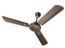 Polycab 48” Brio Pearl Brown Decorative Ceiling Fan 





					Write a Review