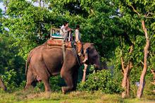 Sauraha Tour (2 night 3 days package)