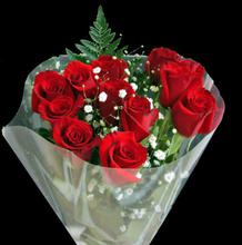 Roses in a Dozen – Red Rose – 12 Pcs