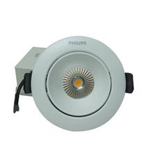 Philips Astra Spot 12-Watt LED COB Light